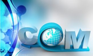 引爆新品牌 快速有效的品牌運營與營銷策劃實戰(zhàn)指南